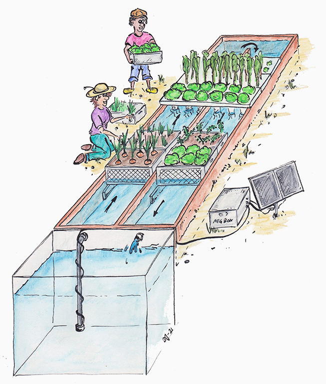 Illustration AFG-Box Illustration AFG-Box